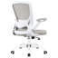 Chaise de bureau ergonomique en filet Office-1968346826