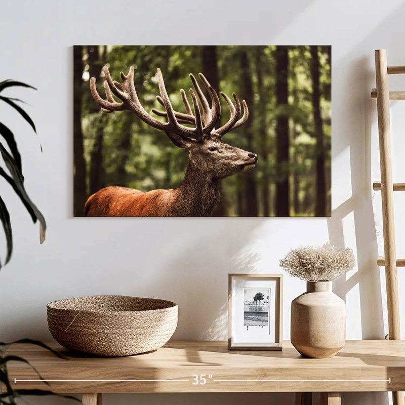 Rêve de cerf Brampt, H 16 po x l 24 po