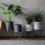 Albion Metal Planter-1262181931