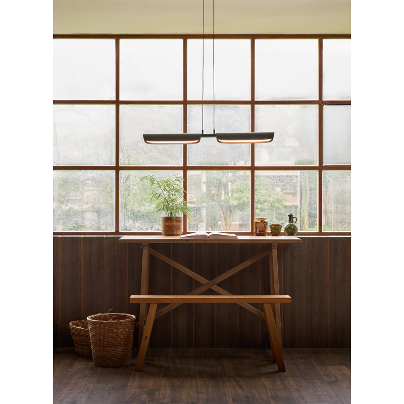 Suspension lumineuse FLO PL2