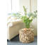 Dryden Solid Wood End Table
