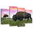 Brampt Bison And Buffalo