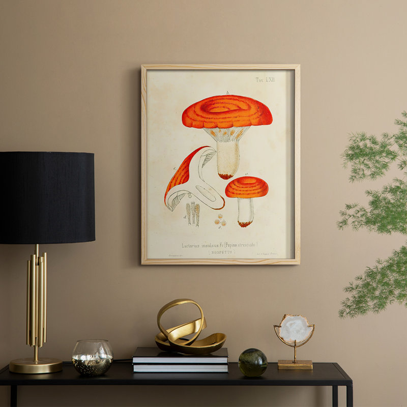 Reproduction encadrée Mushroom Variétés - bois massif, H 11 po x l 9 po
