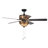 Isabeau 15'' Ceiling Fan with Light Kit
