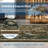 Botanical Flora Machine Washable Rug Low Pile Throw Carpet Non Slip Non Shedding Floor Cover Stain Resistant Folding Carpet For Home Decor-1809682066