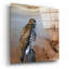  «Redtail Hawk» par Jim Brune, art mural en verre acrylique, 12 po x 12 po