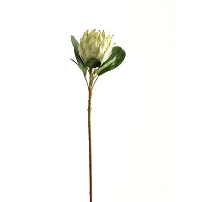 Arrangement