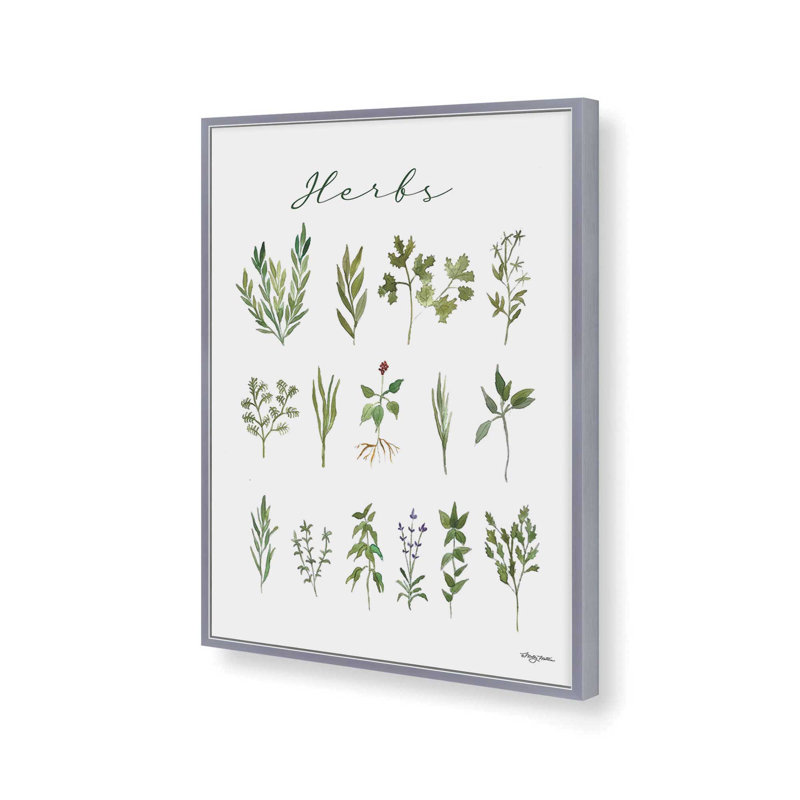 Herbs by Molly Mattin Art Print, 30 W x 40 H, Silver, Framed Print