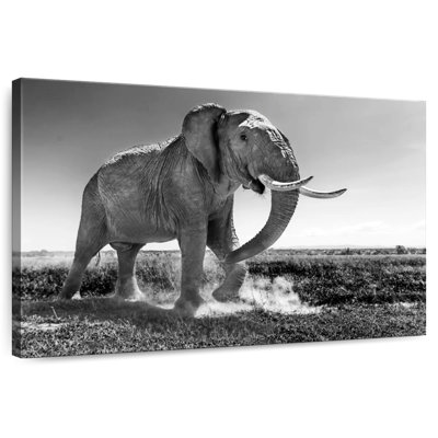 Éléphant de prairie Brampt