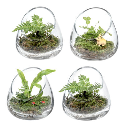 Mini terrarium en verre 8 pièces