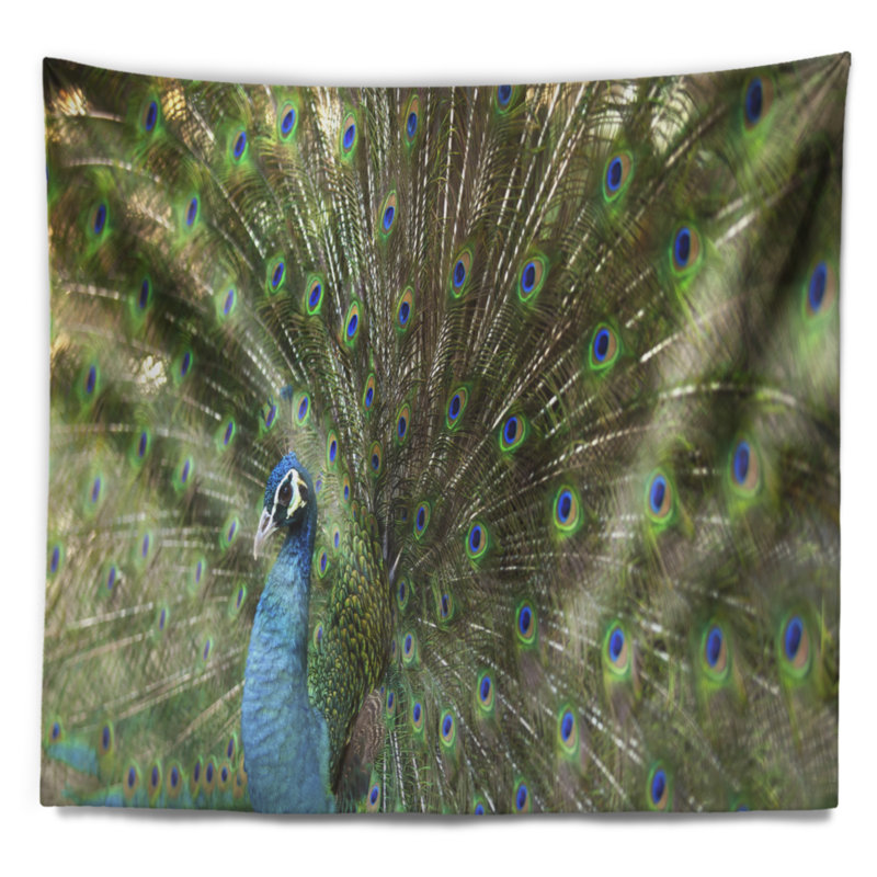 Beau paon avec tapisserie de plumes Animal, H 32 po x l 39 po