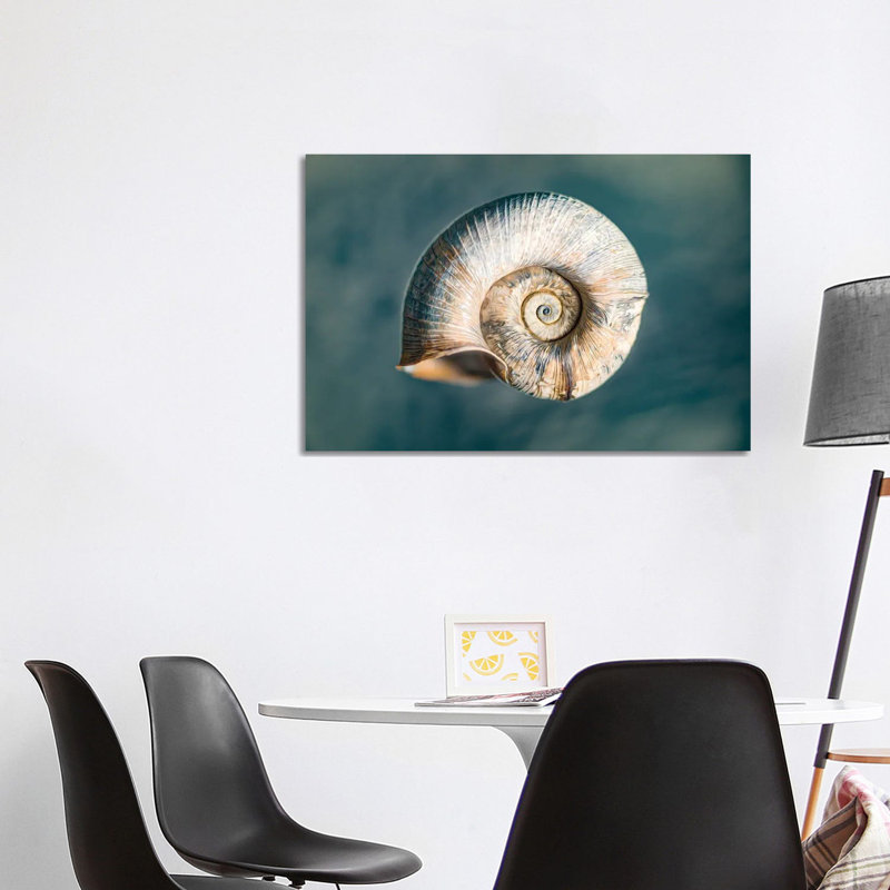 100 Years Of Shell Oceanic Edition by Nik Rave - Wrapped Canvas Gallery-Wrapped Canvas Giclée, 66.04cm H x 101.6cm W