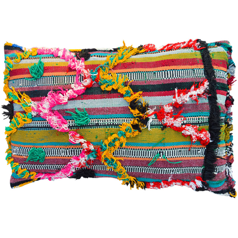 Fringed Reversible Throw Pillow