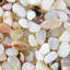Cadre photo coquillage-108057794