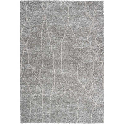 Kourtnee Moroccan Area Rug