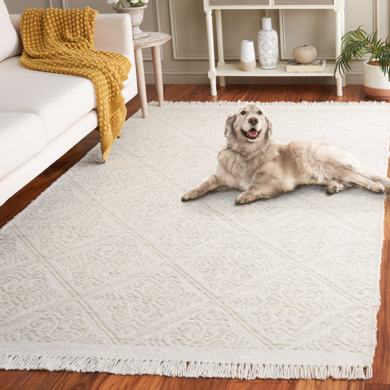 Kornelia Hand Woven Wool Geometric Rug, Rectangle 4' x 6'