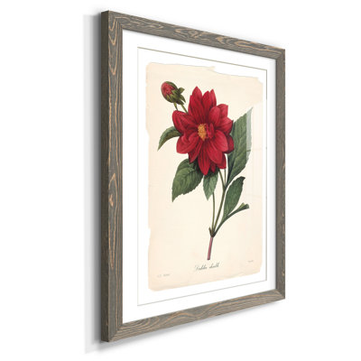 Red Botanical II - reproduction de cadre photo