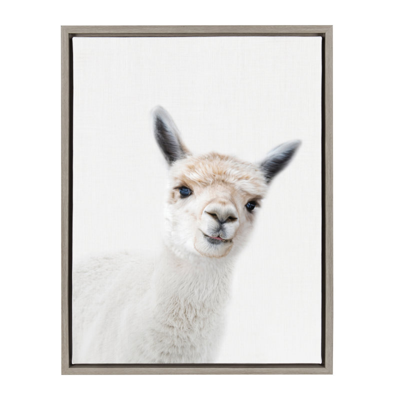 Studio Alpaca by Amy Peterson, Gray Framed