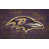 Baltimore Ravens
