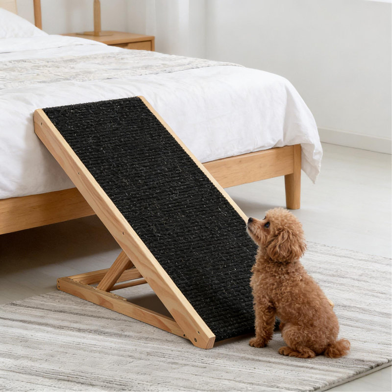 Rampe pour animaux de compagnie