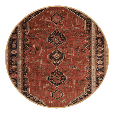 Machine Washable Persian Brown Area Rug