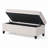 JULIANA STORAGE OTTOMAN-777871250
