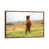 Brown Framed