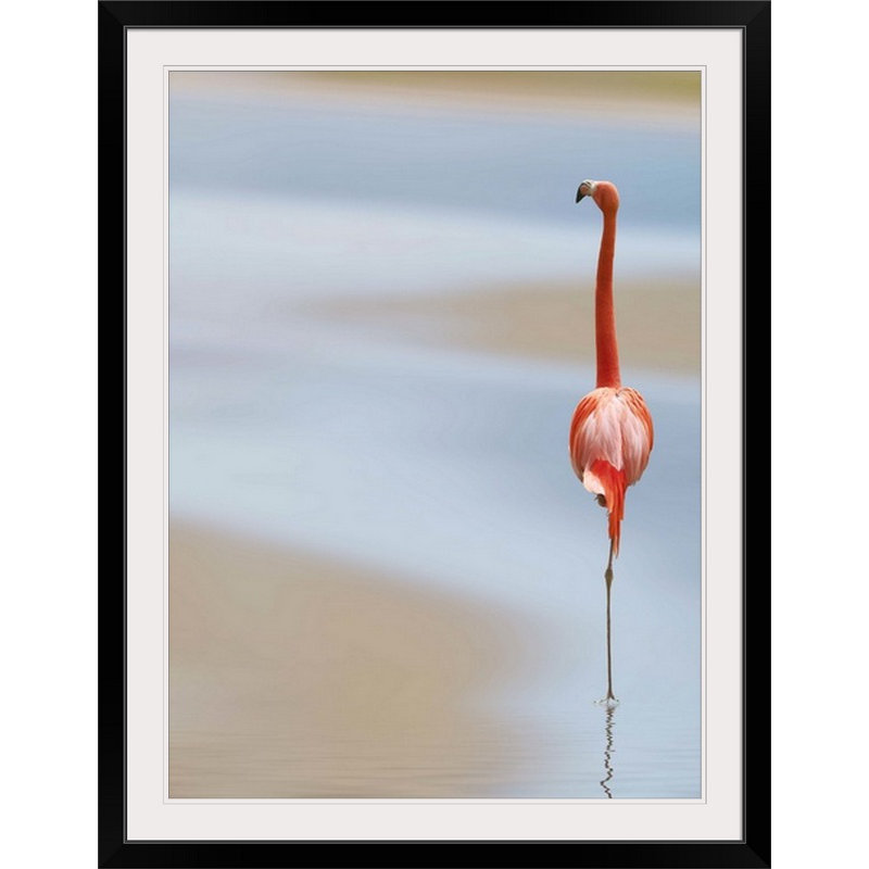 «Straub» par Anna Cseresnjes, impression d'art graphique, H 48 po x l 36 po x P 1,5 po, Toile