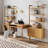 Coady Computer Workstation Desk With Bookshelf