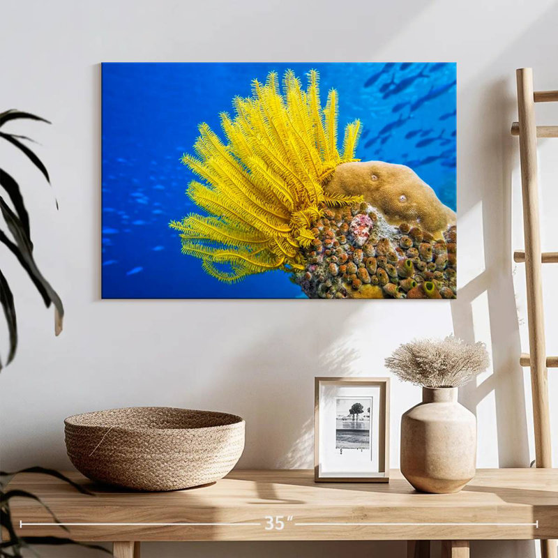 Étoile de mer à plumes jaunes Brampt, H 16 po x l 24 po