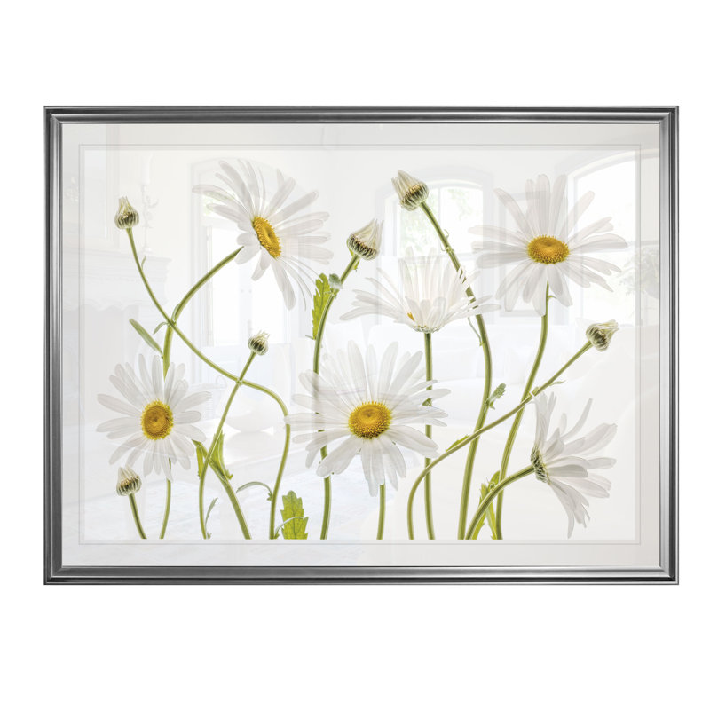 «High Kew Daisies», reproduction, H 20 po x l 24 po x P 1,5 po, Cadre argenté