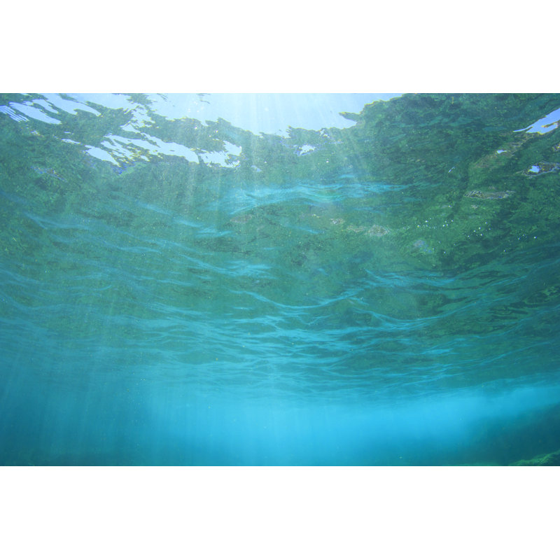 Underwater Ocean Background by Richcarey - Wrapped Canvas Print, 30cm H x 46cm W x 3.8cm D