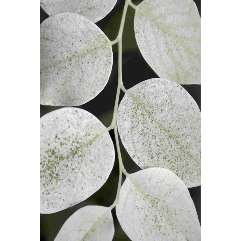 " Leaf Design I " by Jim Christensen, 36" H x 24" W  