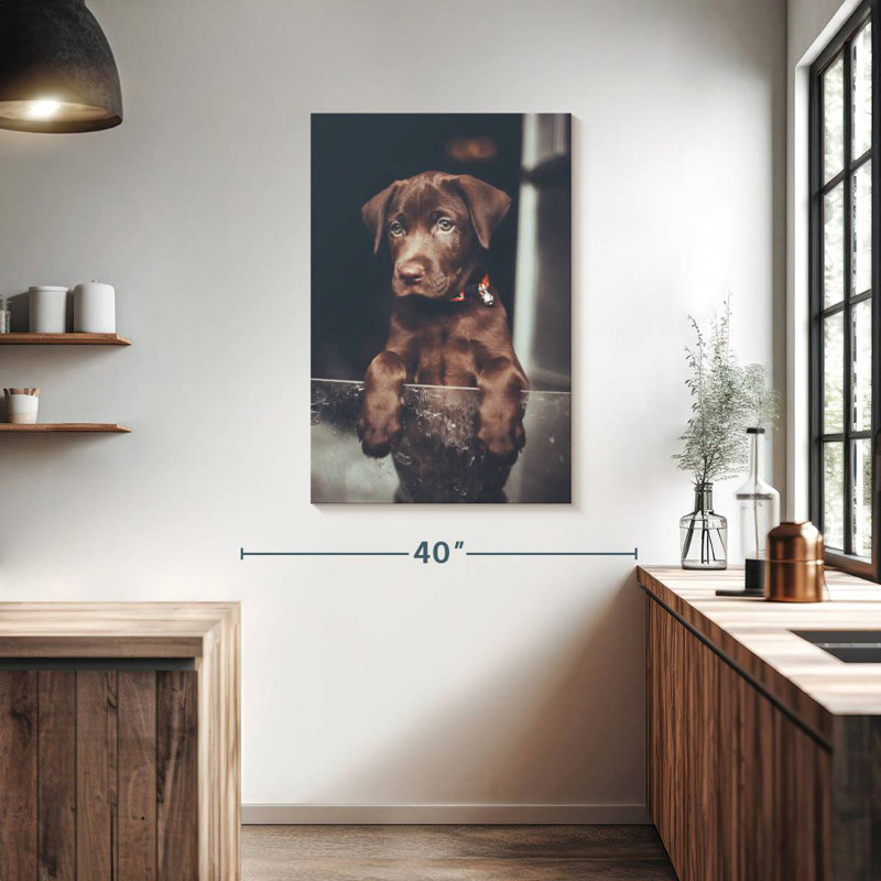 Brampt Chocolate Labrador Puppy, 39" H x 26" W