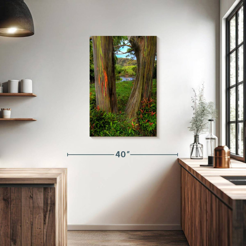 Harnek Roadside Rainbow Eucalyptus, 36" H x 24" W