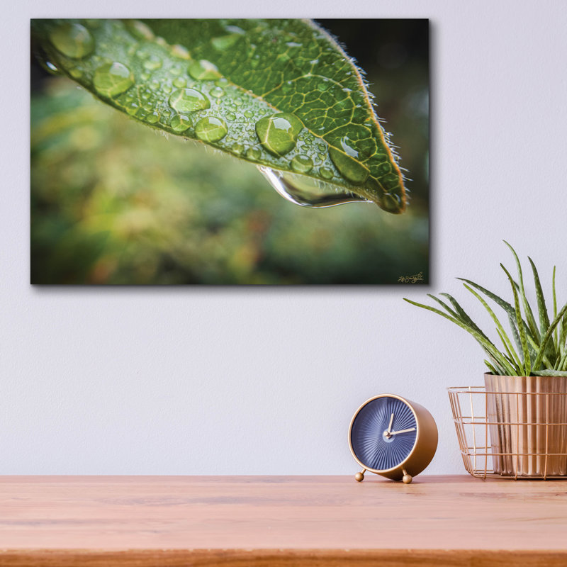 Art mural en verre épique «Droplet Of The Leaf 1» par Life BeautifuLEE, 16 po x 12 po