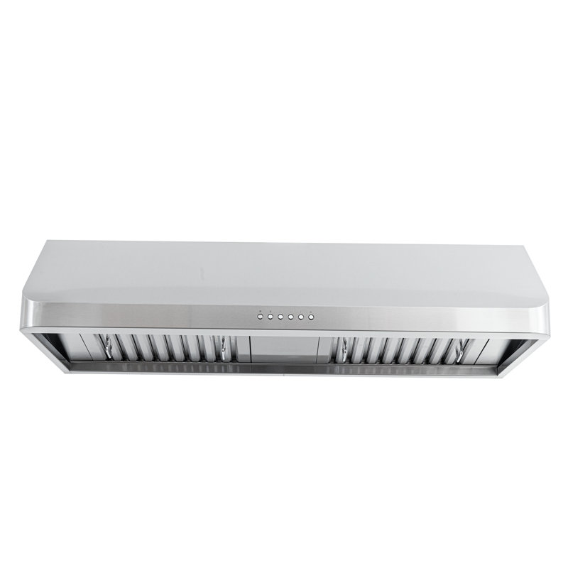 Hotte murale professionnelle PROLINE 42 pouces PROLINE, 900 CFM, acier inoxydable, L, 41.75''