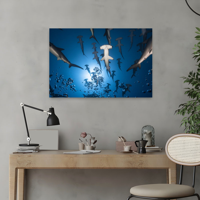 Art contemporain contemporain requin contemporain, H 24 po x l 16 po