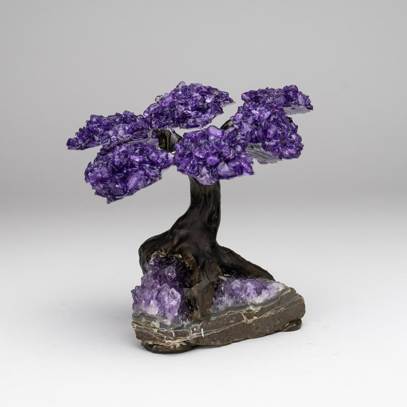 Medium Amethyst Clustered Gemstone Tree on Amethyst Matrix (The Protection Tree)