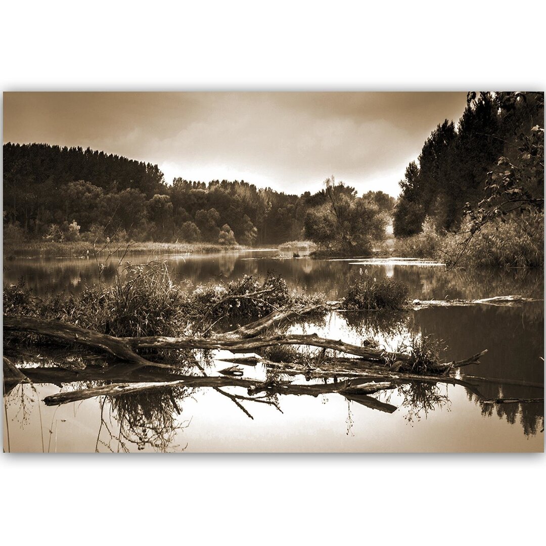 Leinwandbild Umgefallener Baum im See 1