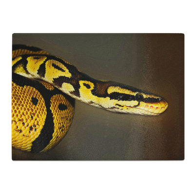 Python Snake Art  Glass Chopping Board