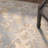 Barkbridge Wool Oriental Indoor Rug-20557823