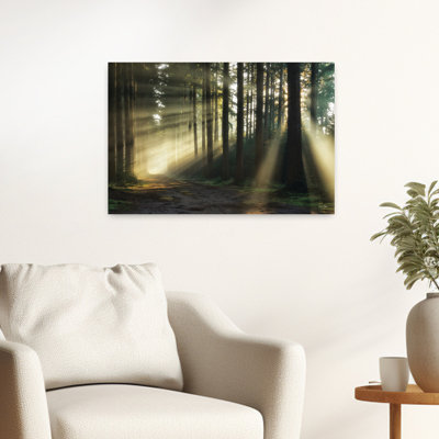 Pathway To Sunlight Abstract Contemporary Forest Landscape Art