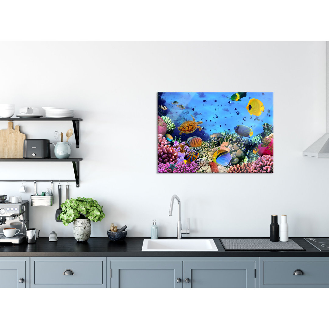 Glasbild Wandbild Auf Echtglas Fische Über Korallenriff Inkl. Aufhängung Und Abstandshalter LFs2562