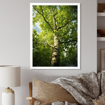 «American Basswood Tree Lyrical Forest - Landscape Trees», reproduction d'art sur toile