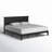 Markovich Solid Wood Platform Bed-1306044152-1306044156