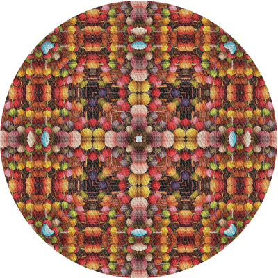 Indoor Rug