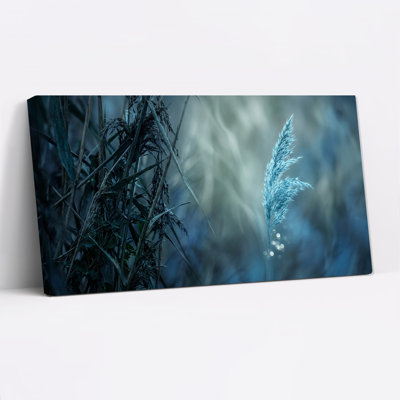 Tableau sur toile représentant un panache d'herbe bleue et duveteuse dans une atmosphère brumeuse