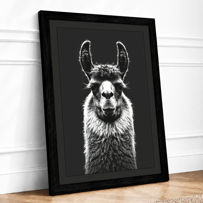 Llama Study Minimalist - Print, Black, A3 - 42.0 x 29.7 cm