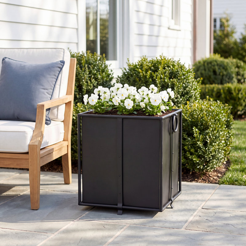 Paulette Iron Planter Box, Black